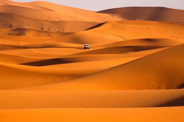 Desert Safari con cena y espectáculo