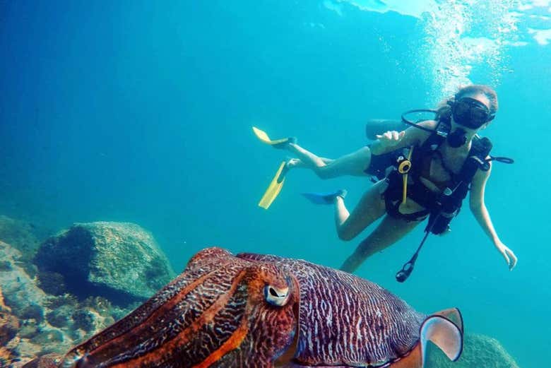 Buceando en las aguas de Dibba Al-Fujairah