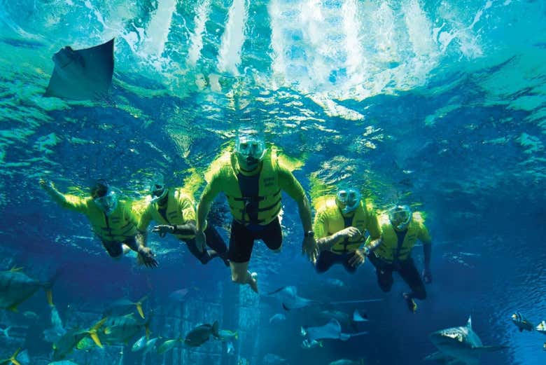 Snorkel en Aquaventure Waterpark