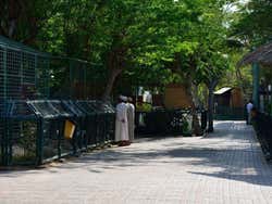 Zoo de Dubái
